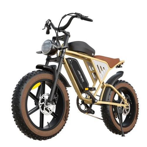 Vélo Électrique Jansno X70 750w 48v14ah